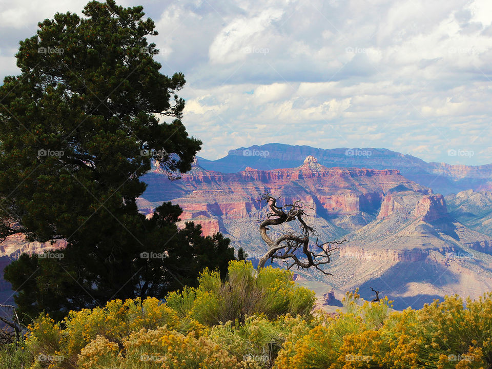 Grand Canyon