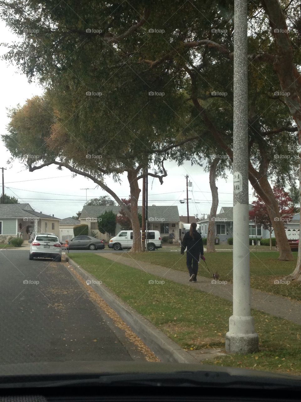 Sunday morning walk with a friend

Published by:
HappyBrownMonkey

