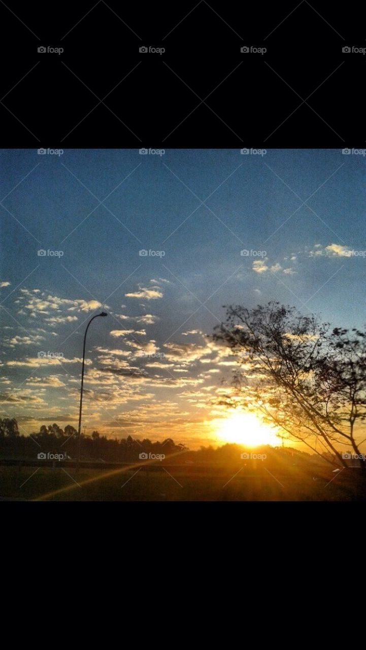 sky blue tree sunset by taisschoof