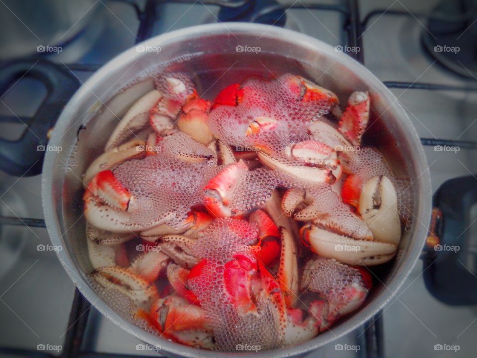 🦀 caranguejo crab