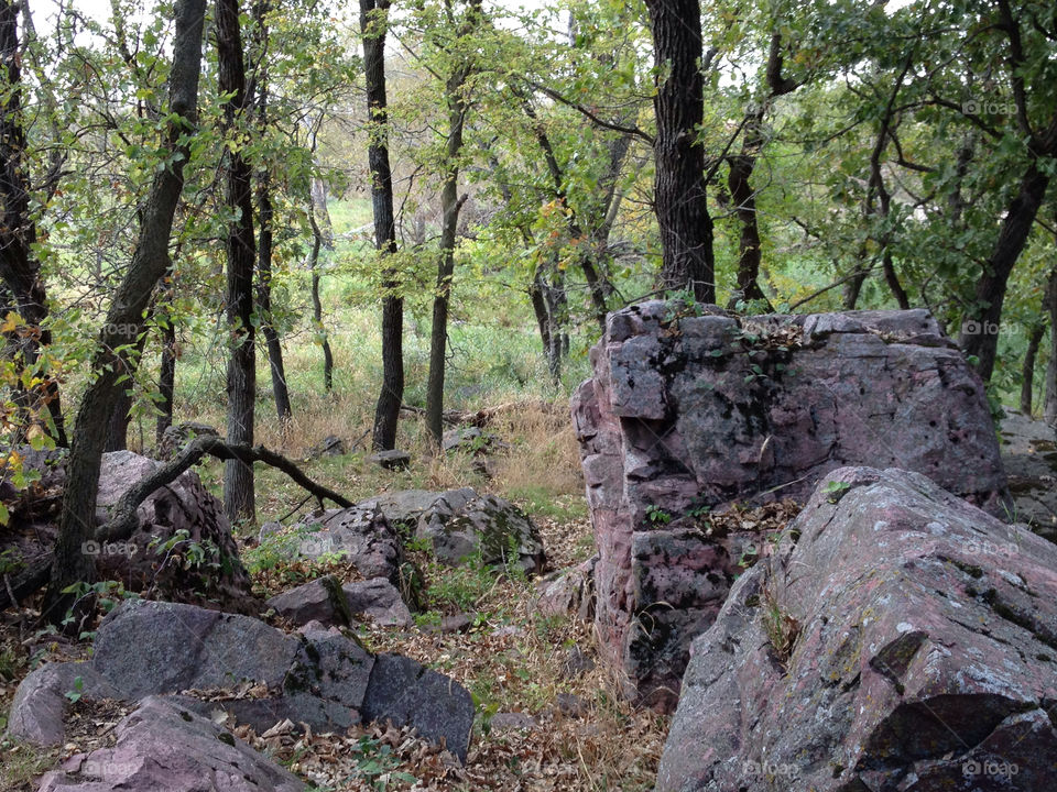 trees park rocks rugged by lamorm1