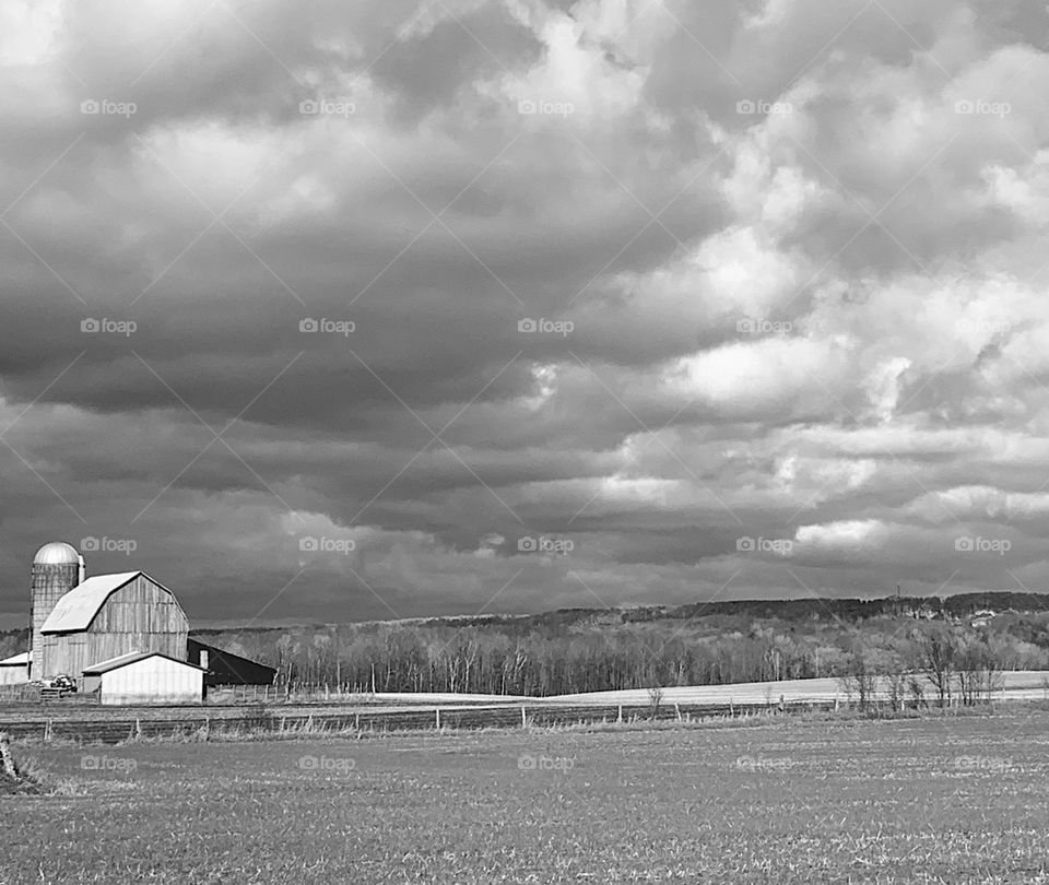 Farm in Simcoe County