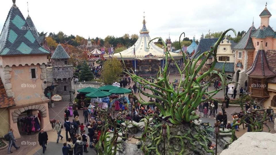 view from the disney castle. Paris.   france