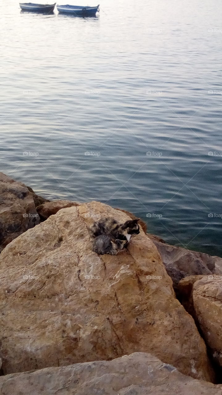 He suffered the beauty of the sea