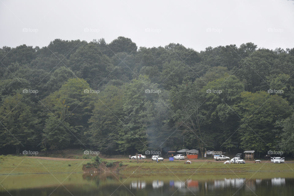 cars reflection on lake covered with forest