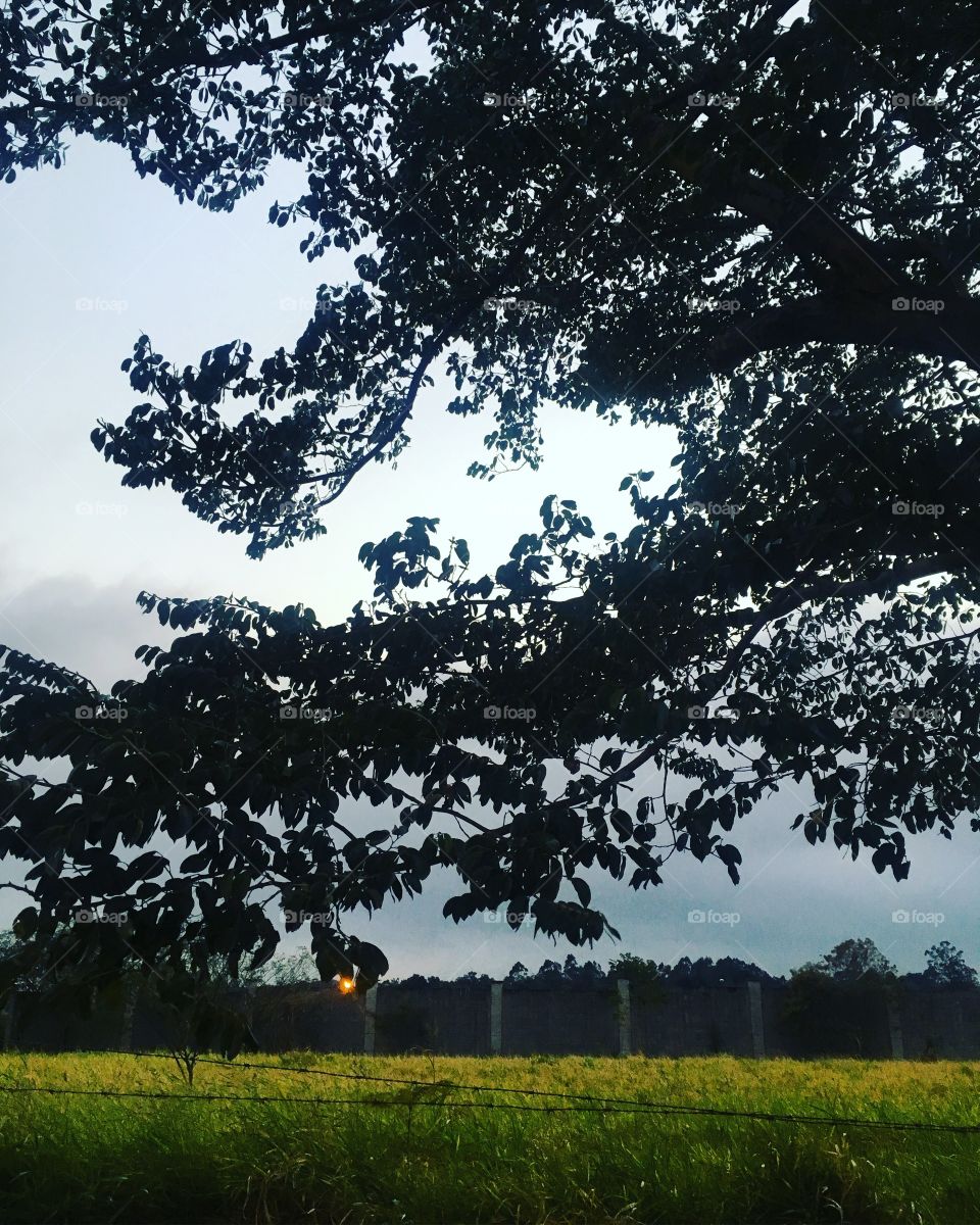 🌅Desperte, #Jundiaí, mesmo cinzenta!
Que a #QuartaFeira possa valer a pena!
🍃
#sol #sun #sky #céu #photo #nature #morning #alvorada #natureza #horizonte #fotografia #pictureoftheday #paisagem #inspiração #amanhecer #mobgraphy #mobgrafia 