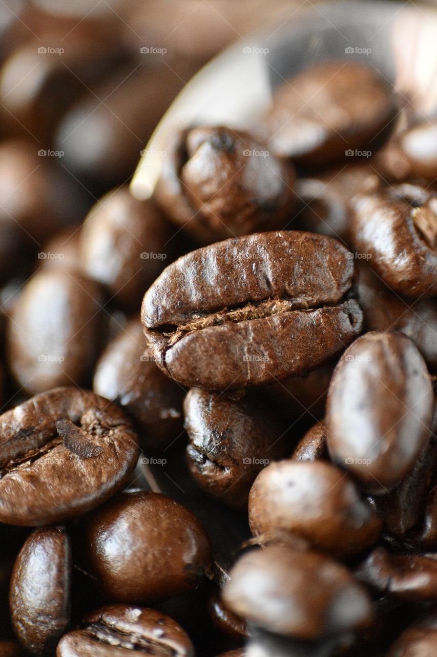 Macro of coffee beans 