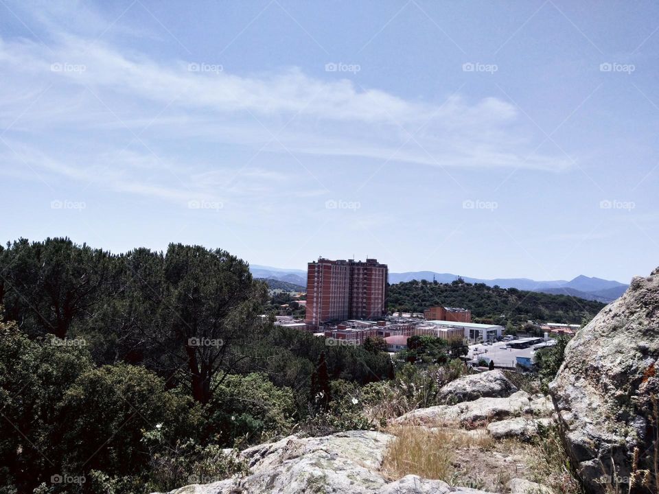 Editors' Choice - Photo of the Week