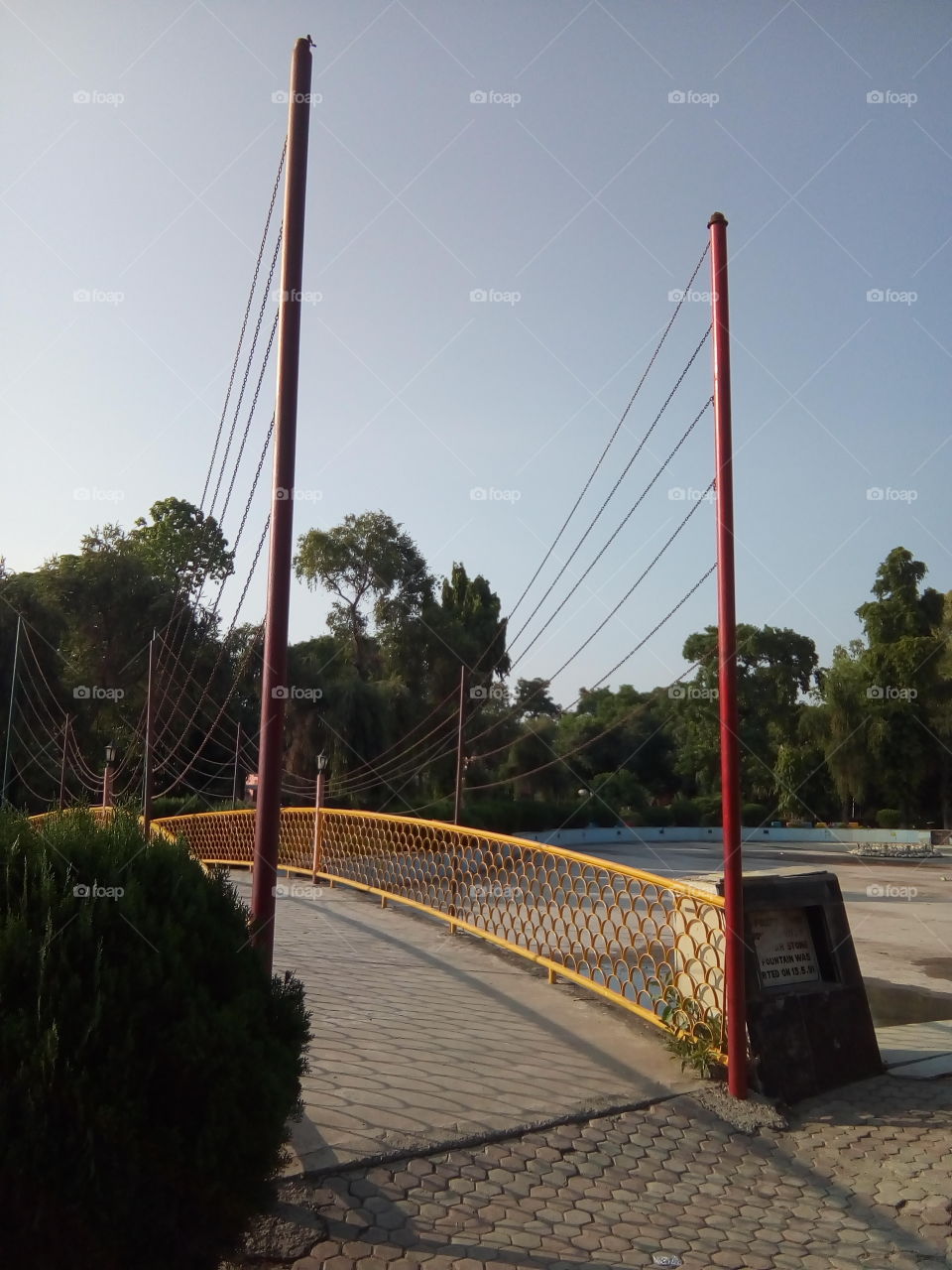 a beautiful sight in a garden