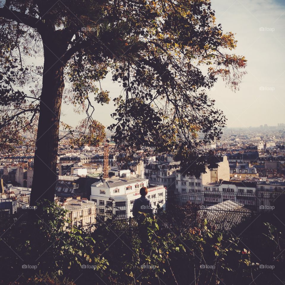 No Person, Tree, Architecture, City, Travel