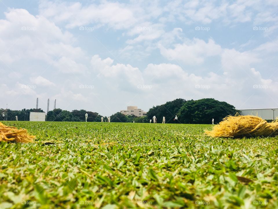 Beautiful Cricket Ground 