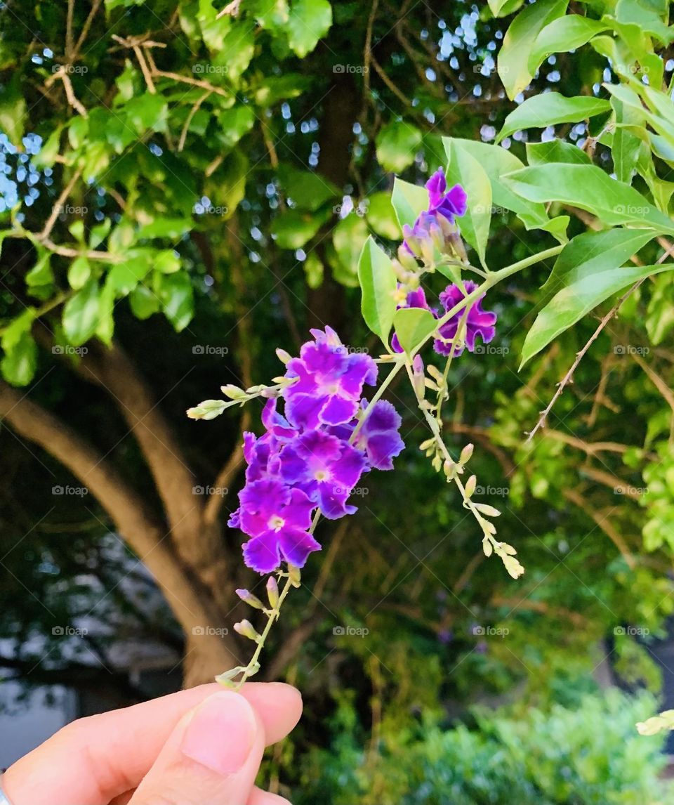 “I will be the gladdest thing under the sun! I will touch a hundred flowers and not pick one.”~Edna St. Vincent Millay