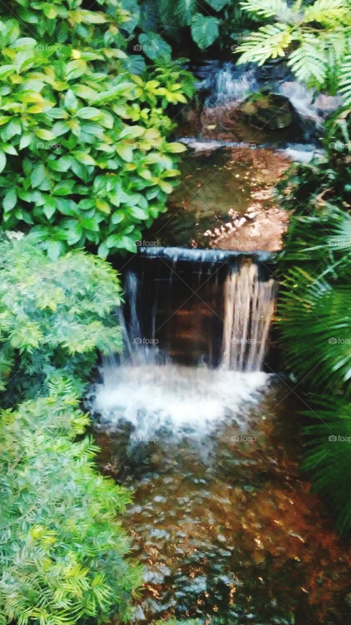 Small beautiful flowing waterfall