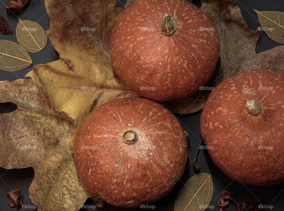 Flat lay of 3 pumpkins with leaves