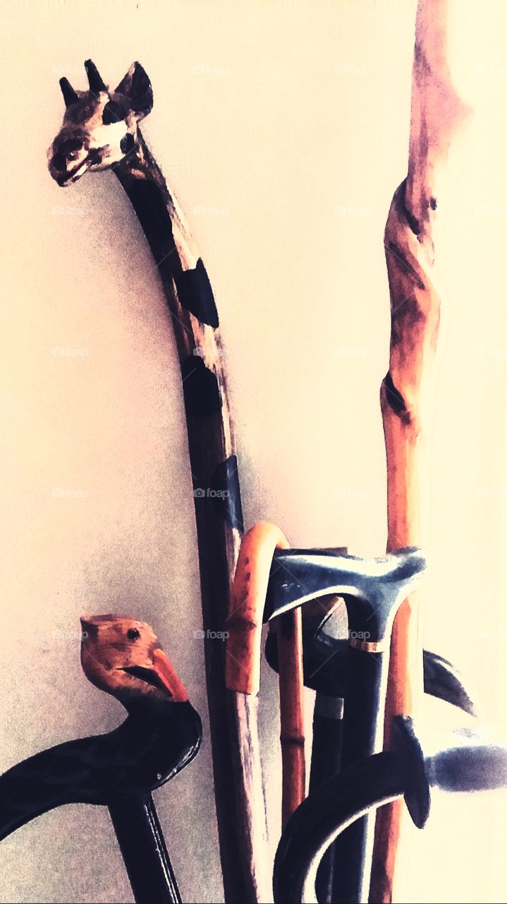 Grandpa s walking sticks and canes