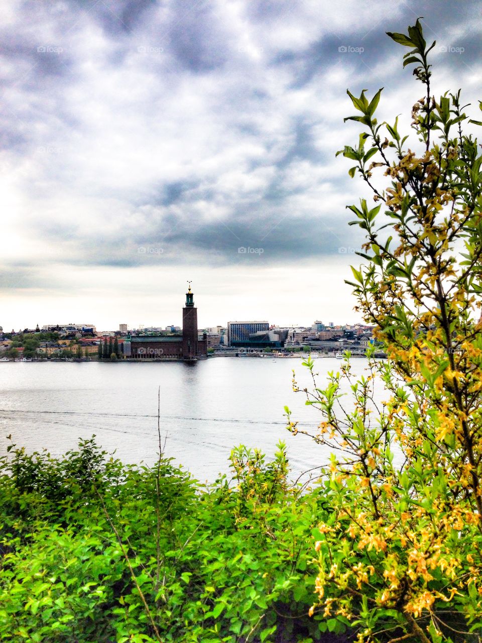 city hall stockholm view