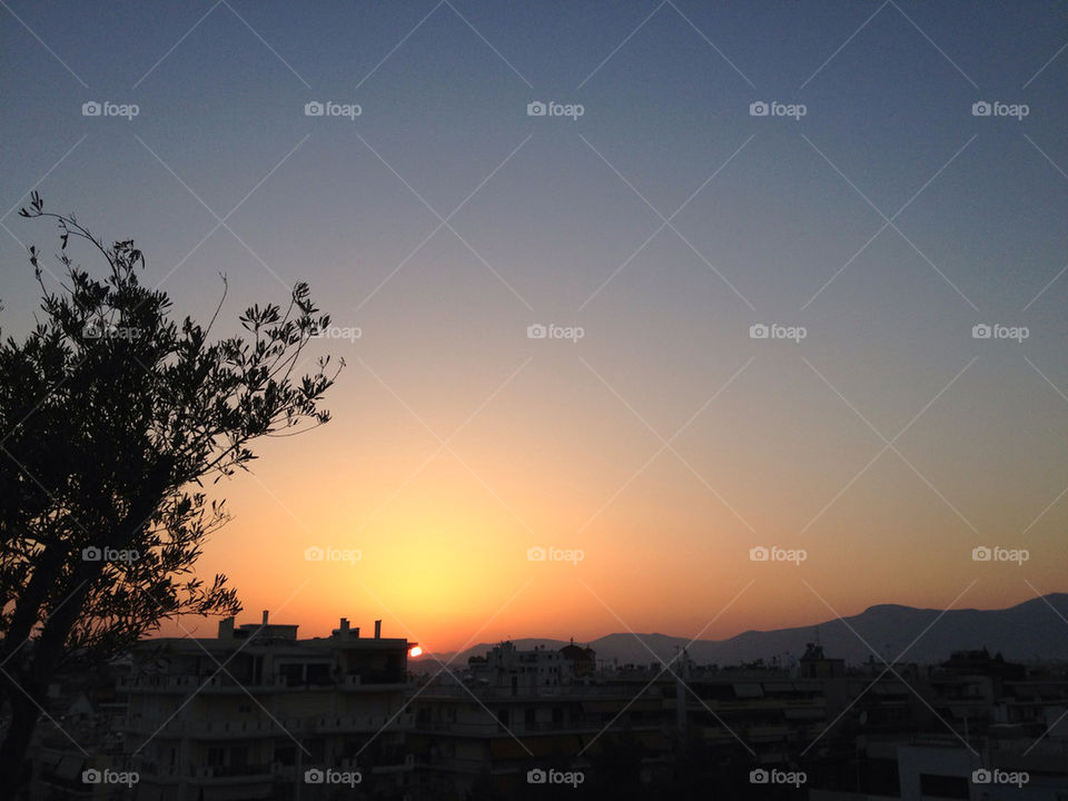 sky city tree sunset by mattharrisonnn