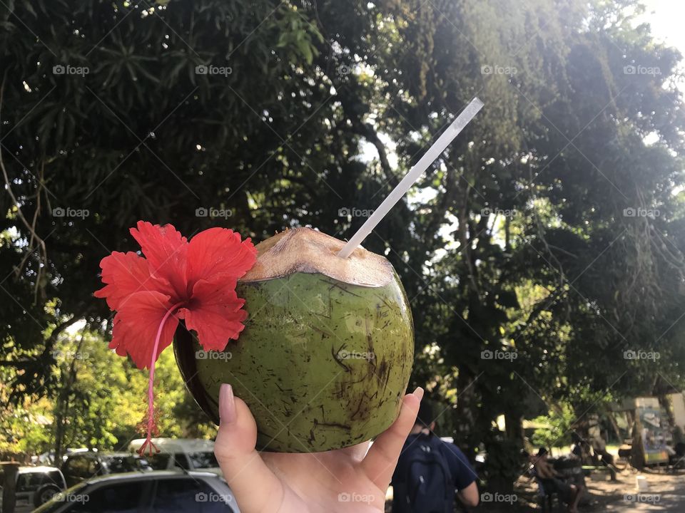 Fresh Coconut water in Manuel Antonio Park, Costa Rica. 