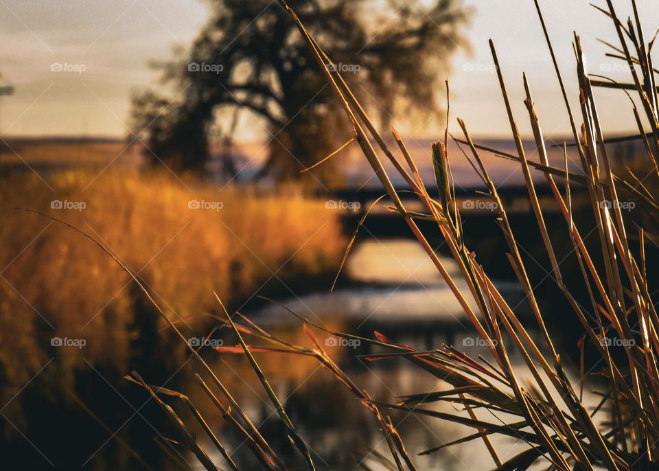 This spot will be known as “Fall’s Gaze”