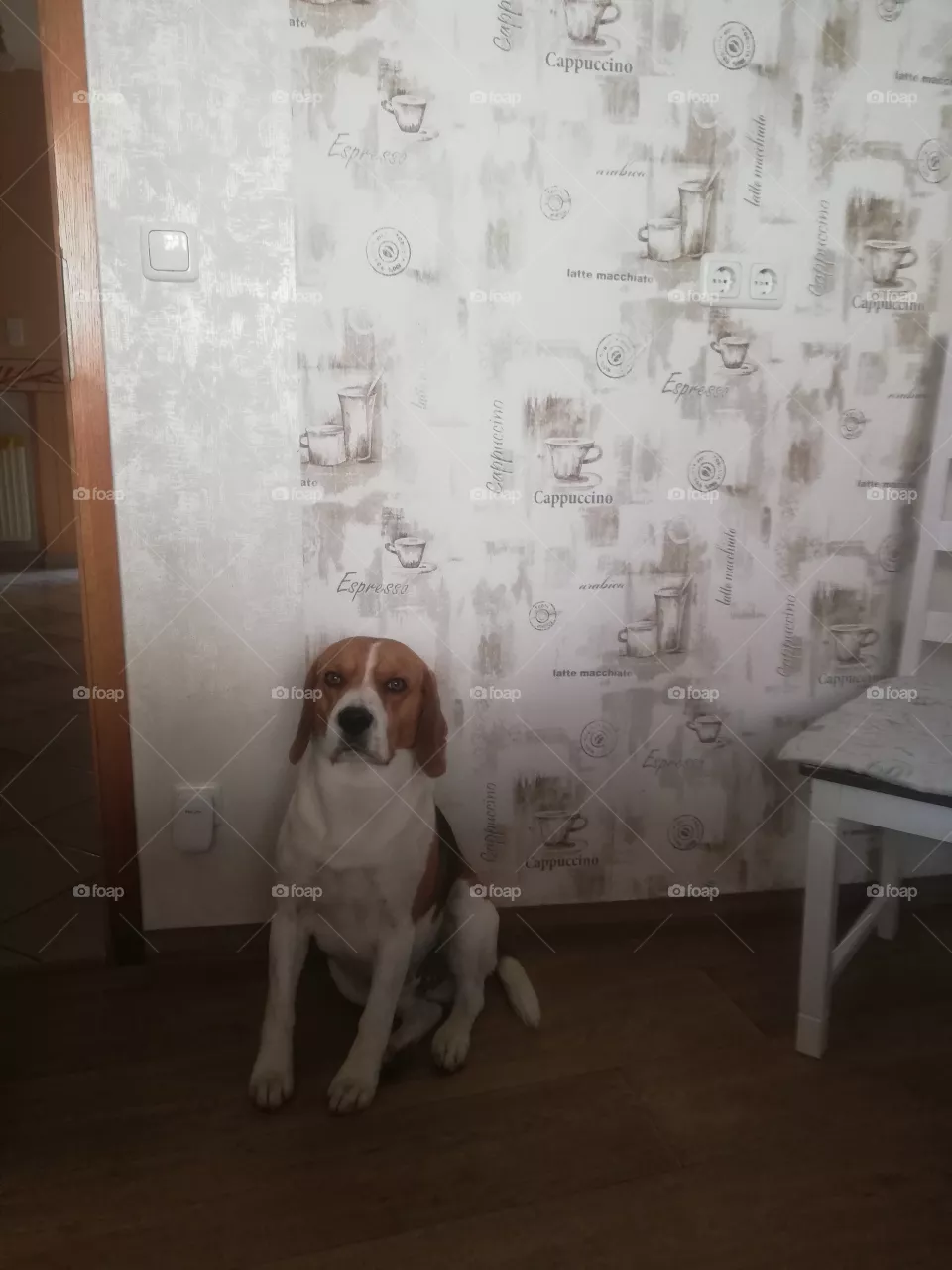 Benno