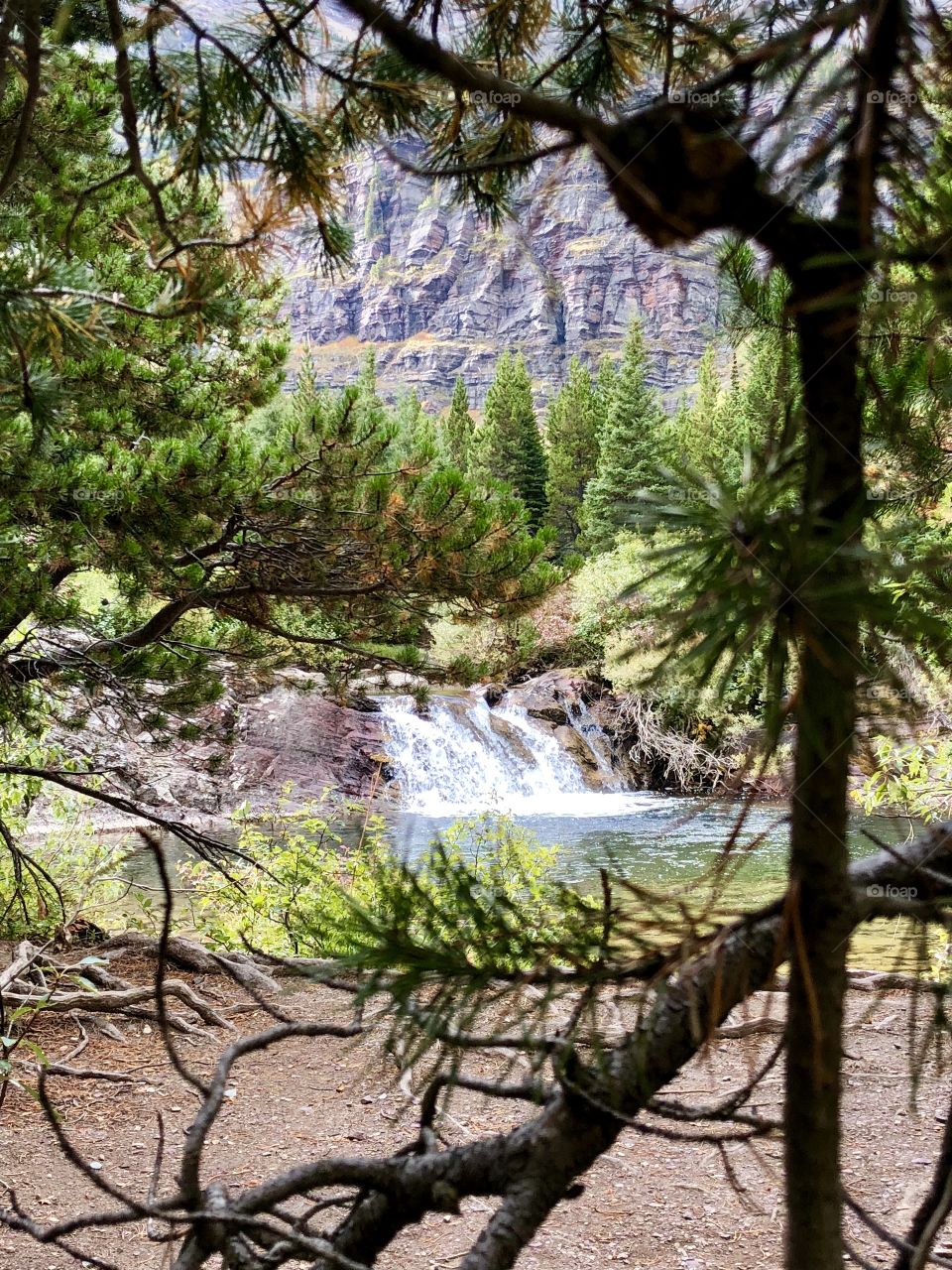 Waterfall through the conifers