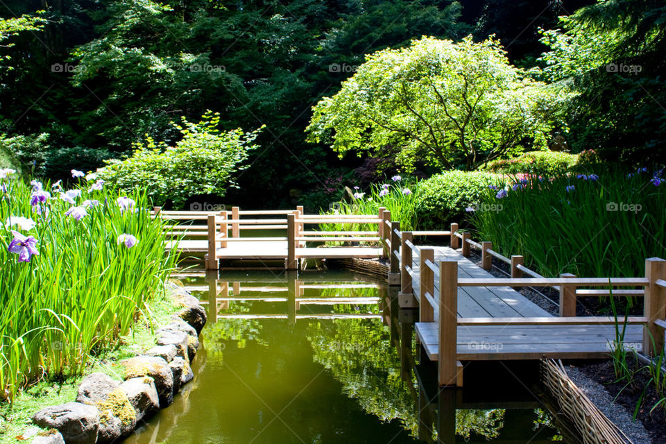 Japanese gardens