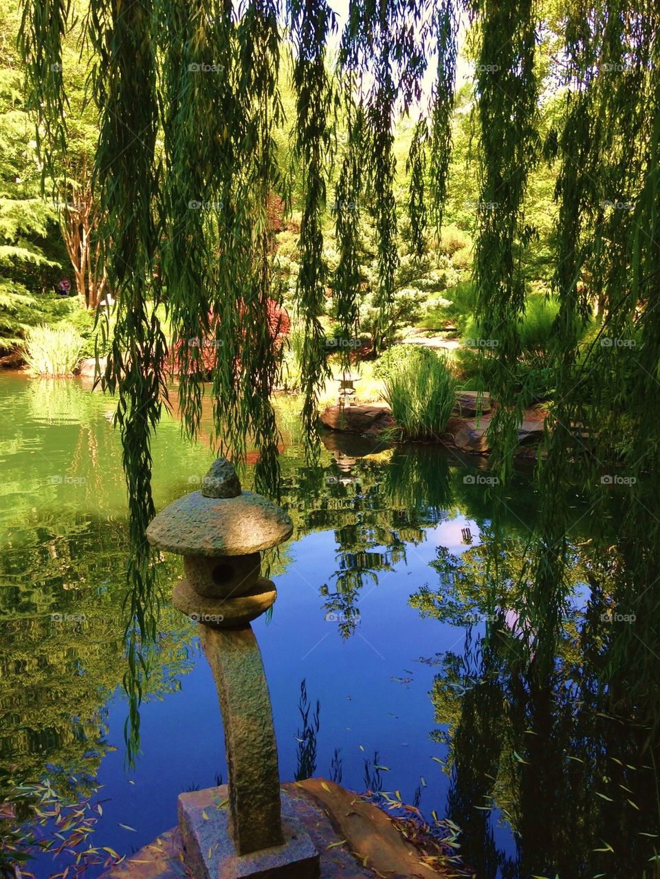 Pond with trees and rocks