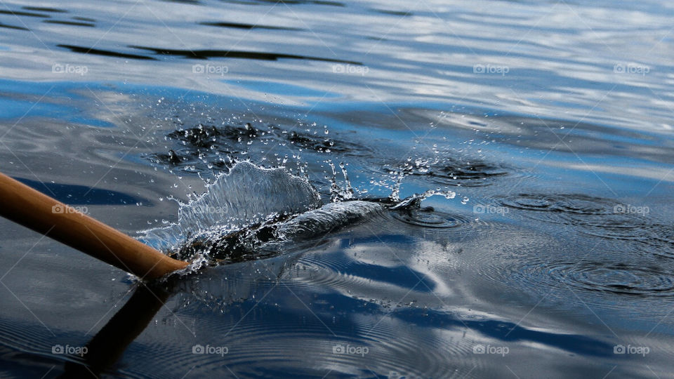 water boat splash row by genlock