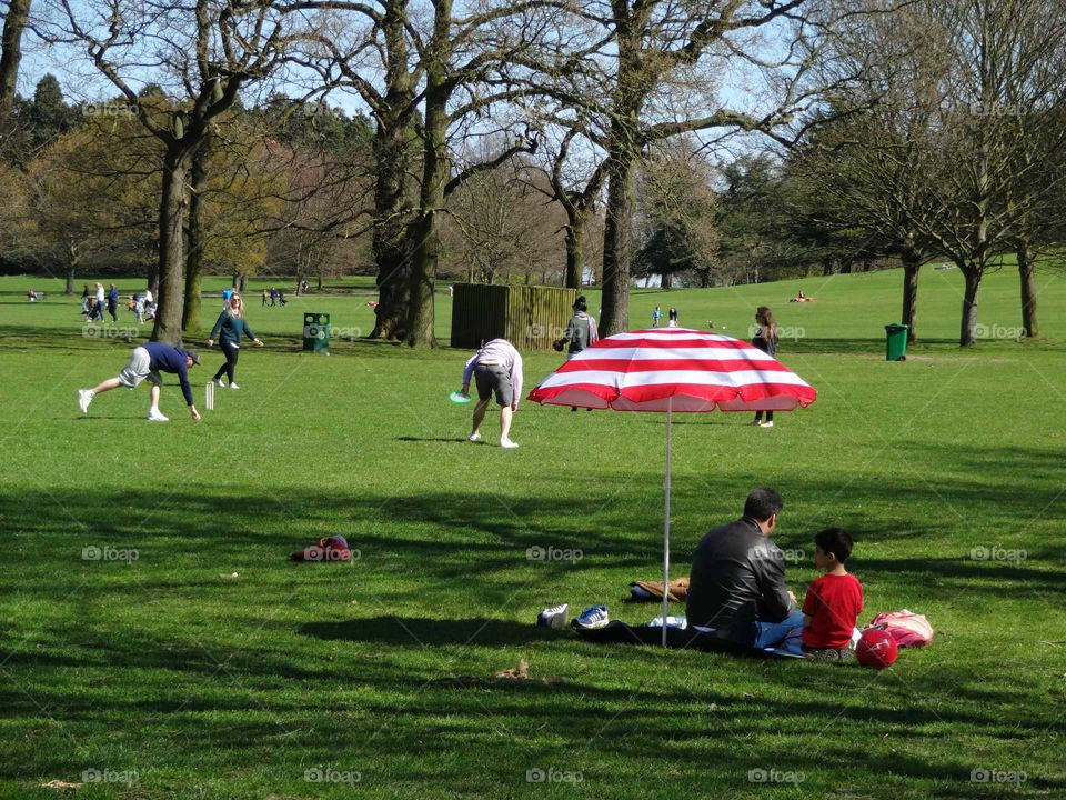 family picnic