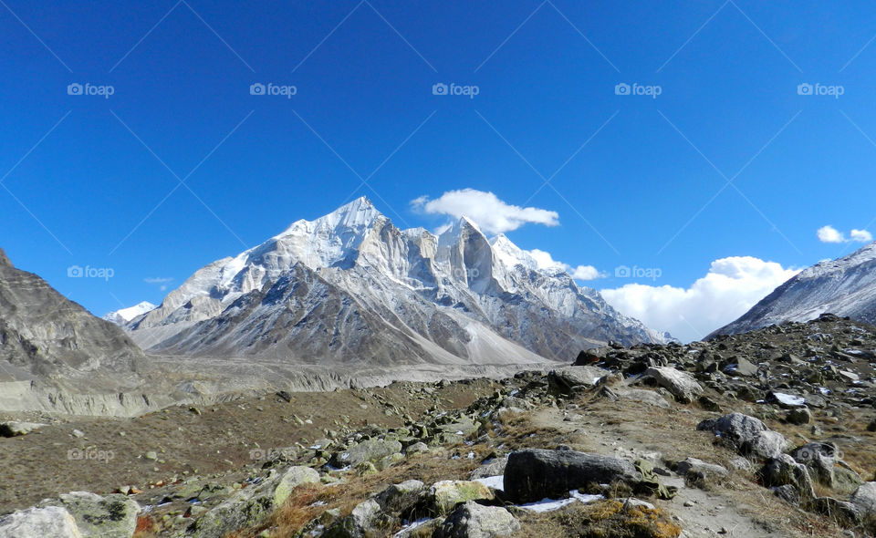 Gangotri National Park