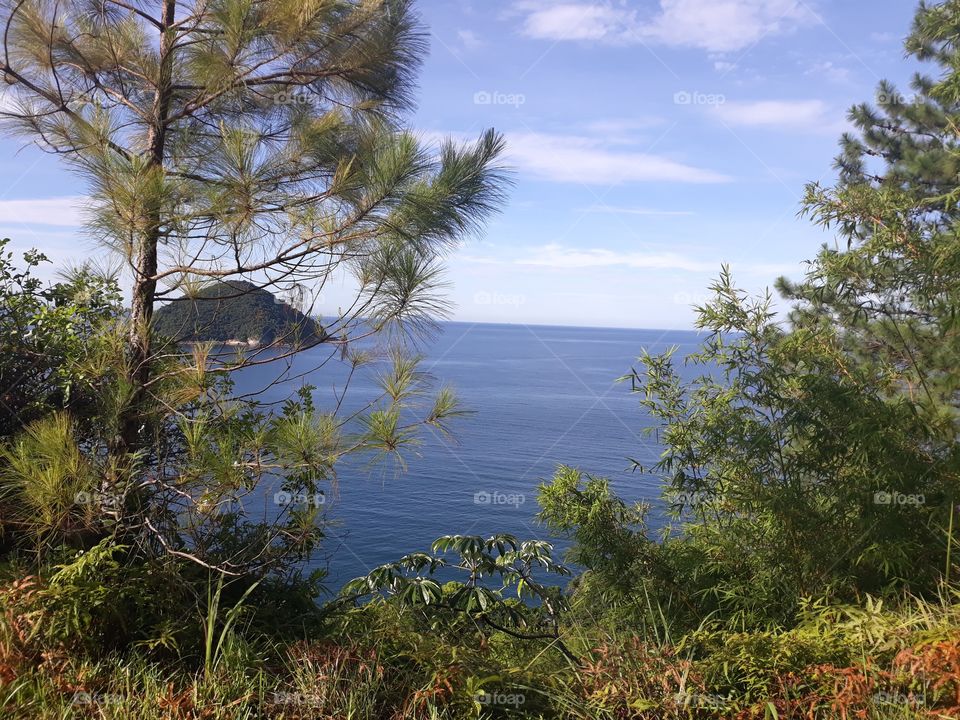 the beautiful landscape