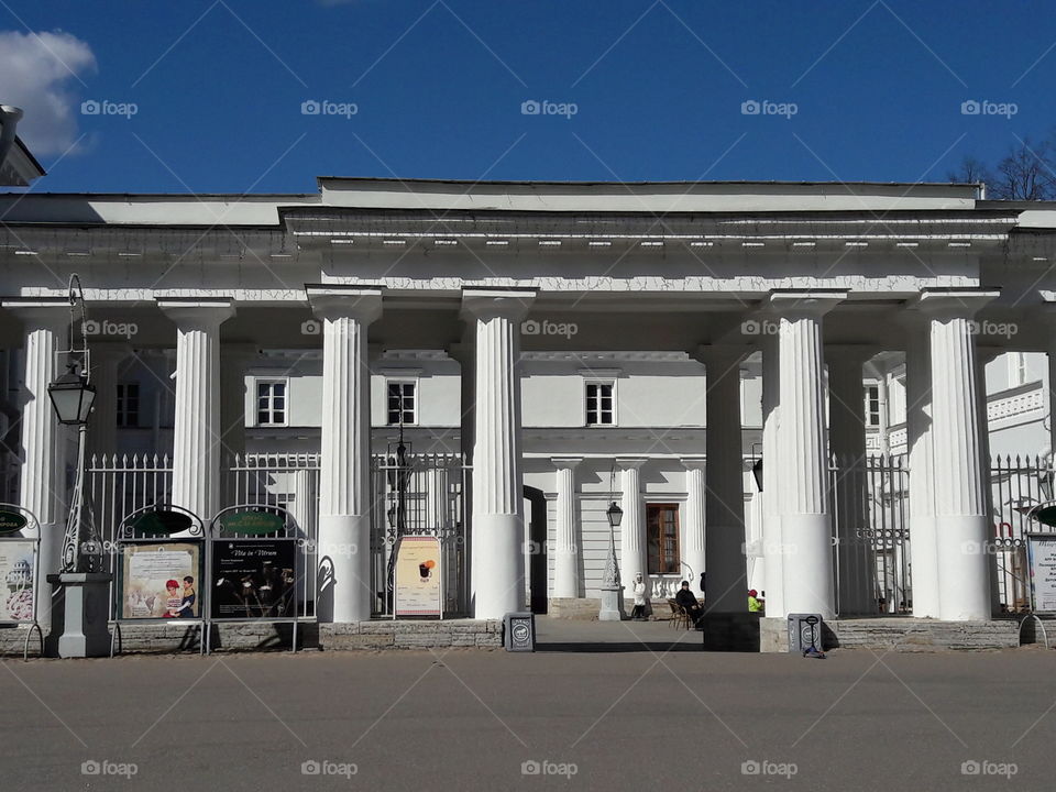 park spring time sun sunny colors colorful nature wild plants flowers amazing stunning cool nice weather hot lovely sky forest grass view splendid