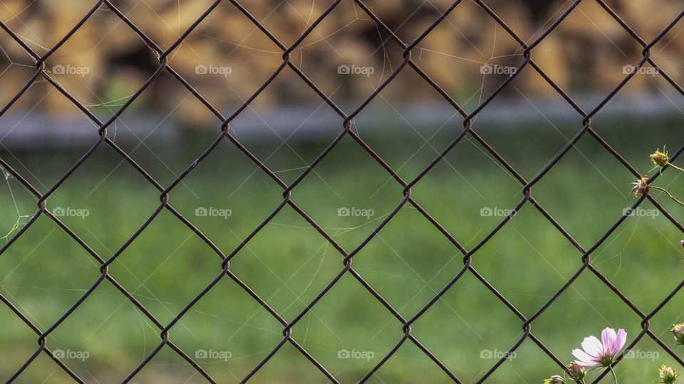 metal mesh fence