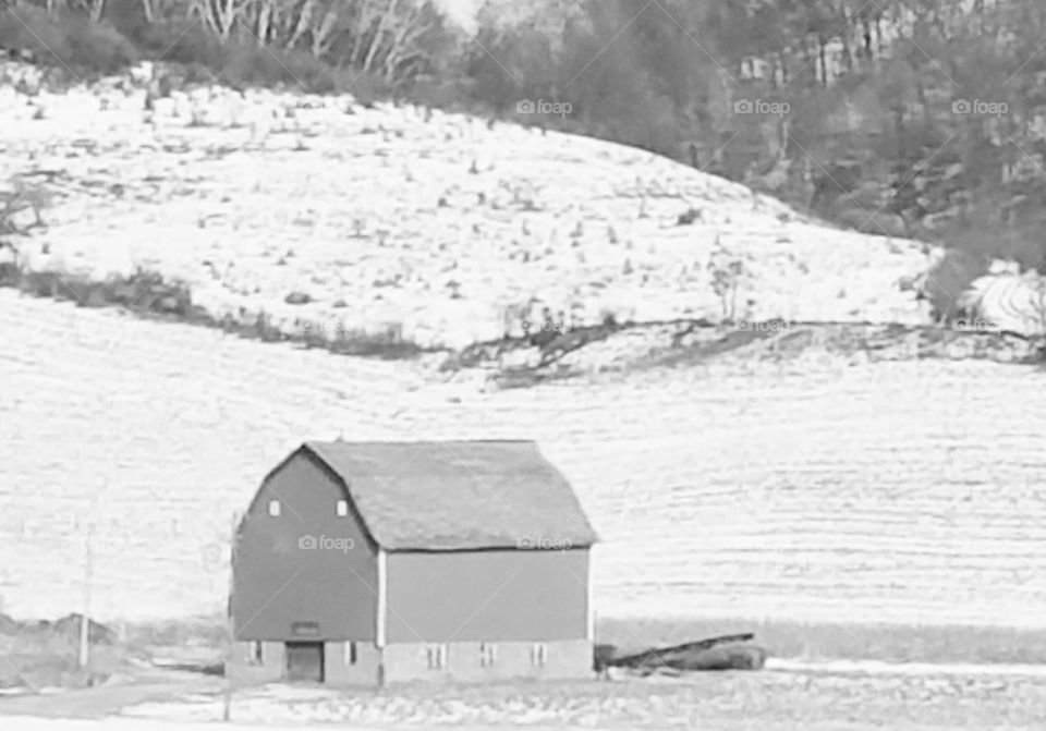 Barn