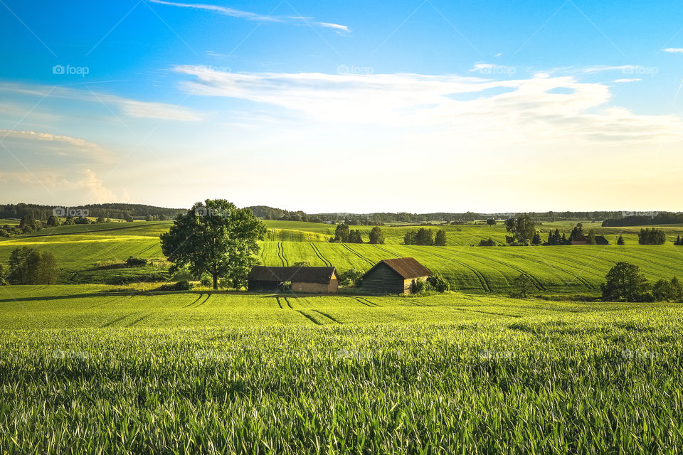 Countryside