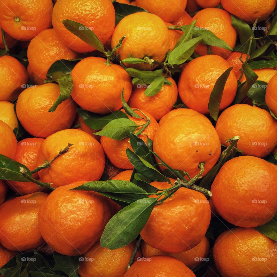 High angle view of orange fruits