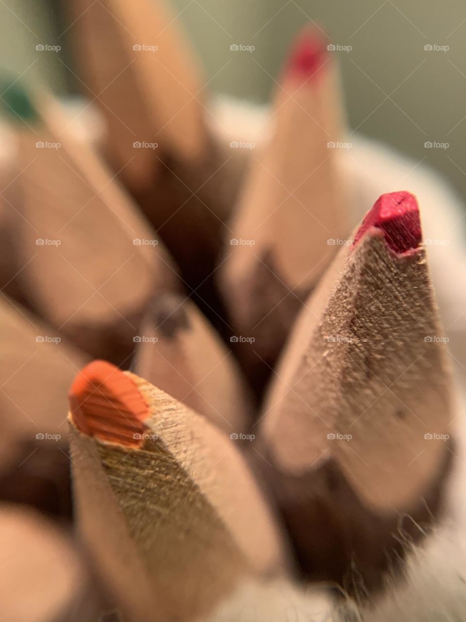 Macro lens photography. Raw wood. Colored pencils. Great texture and fun perspective! 