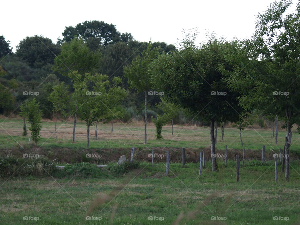 Galicia.Arquitectura y paisajes