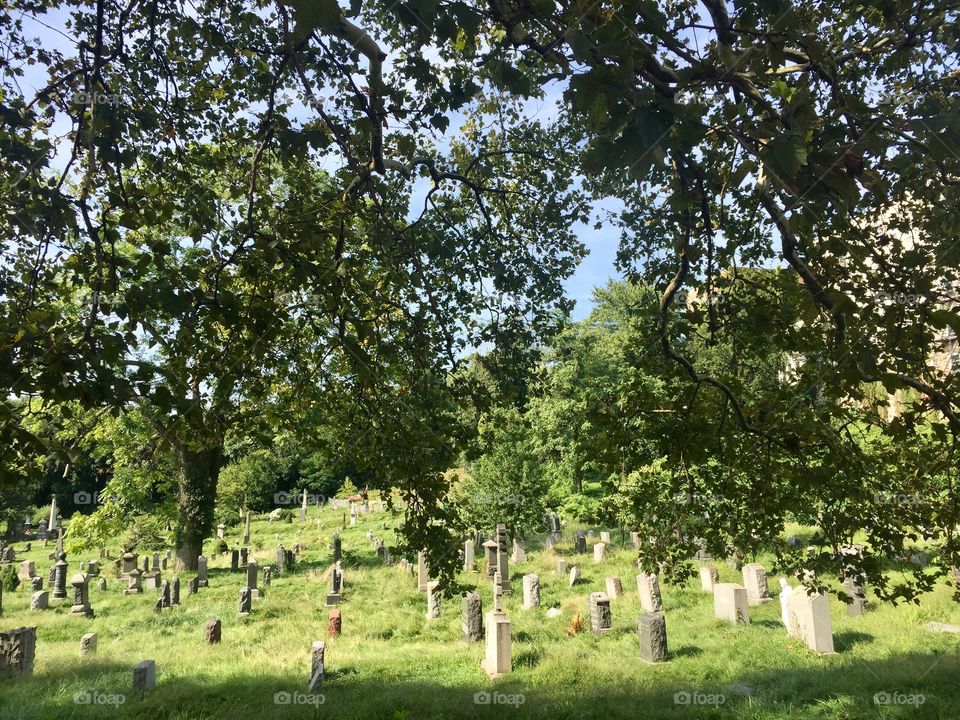 Jersey cemetery 