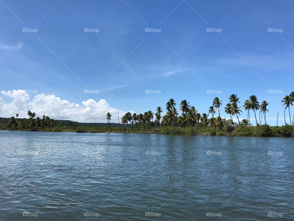 hay un tiempo para todo...