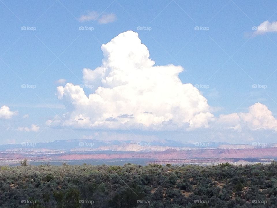 Big and soft cloud in the sky 