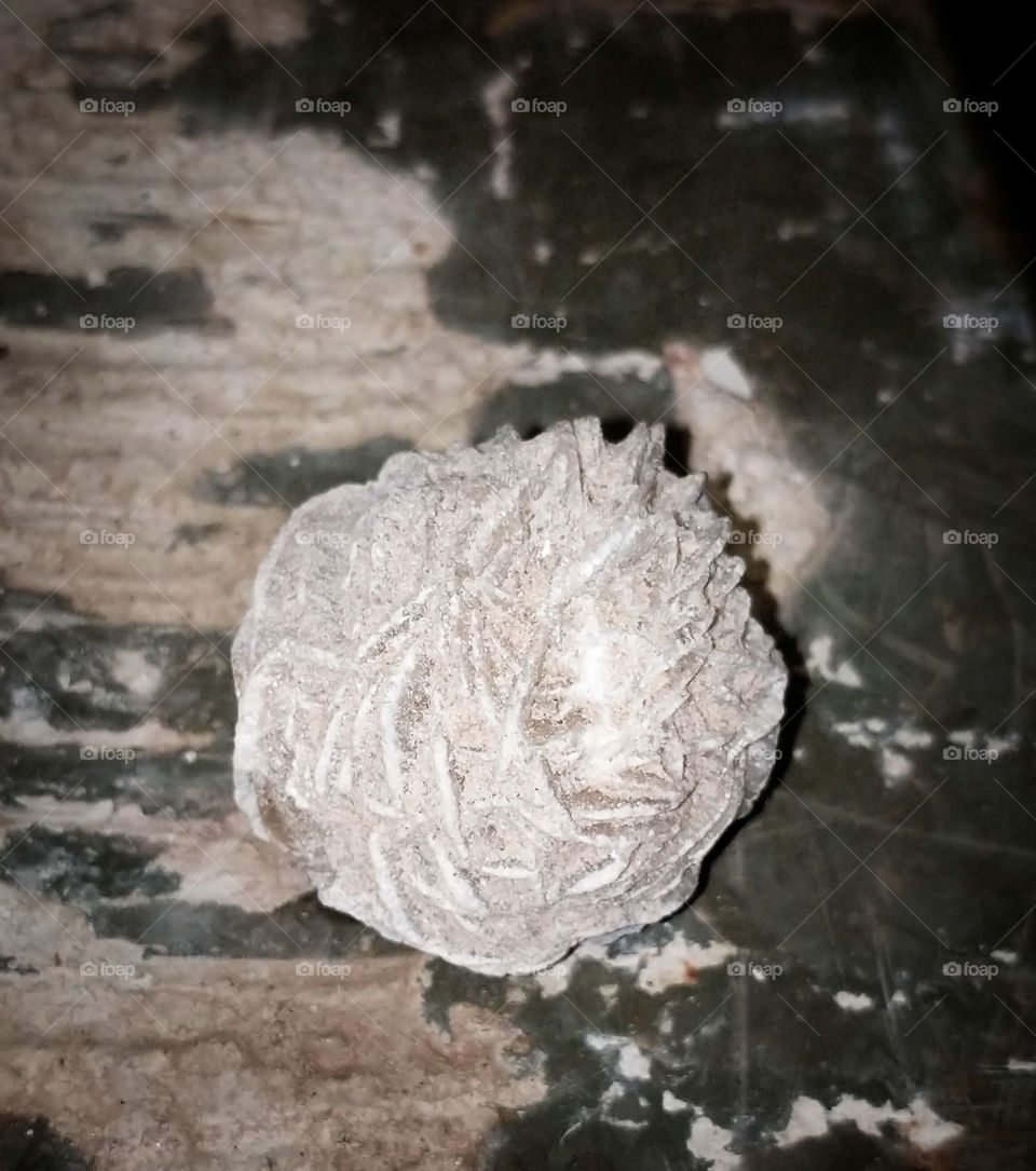 Desert Rose Selenite