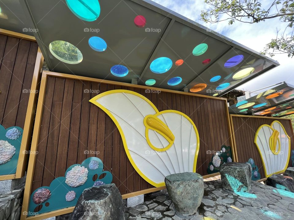 Alocasia in Yang Ming Shan