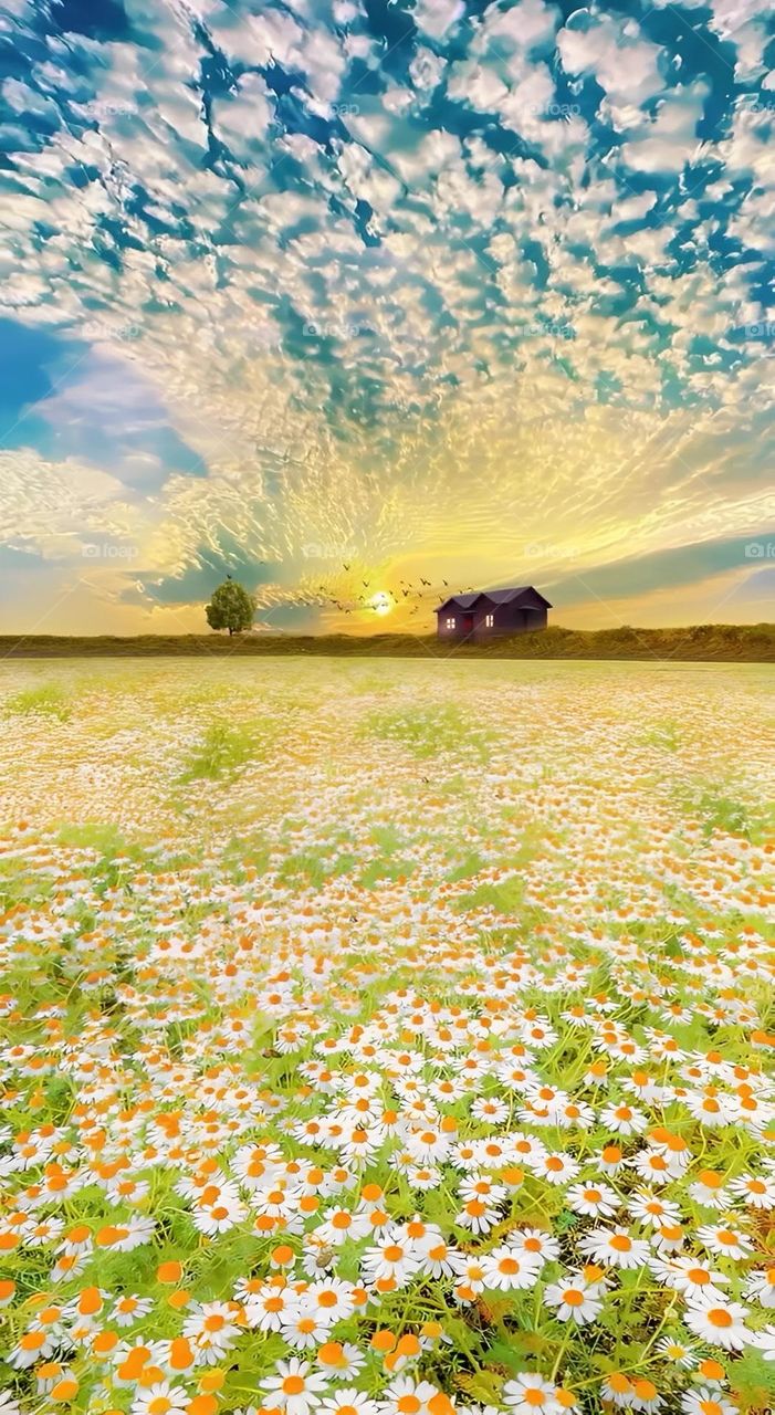 PEACE IN ONE PLACE ❤️