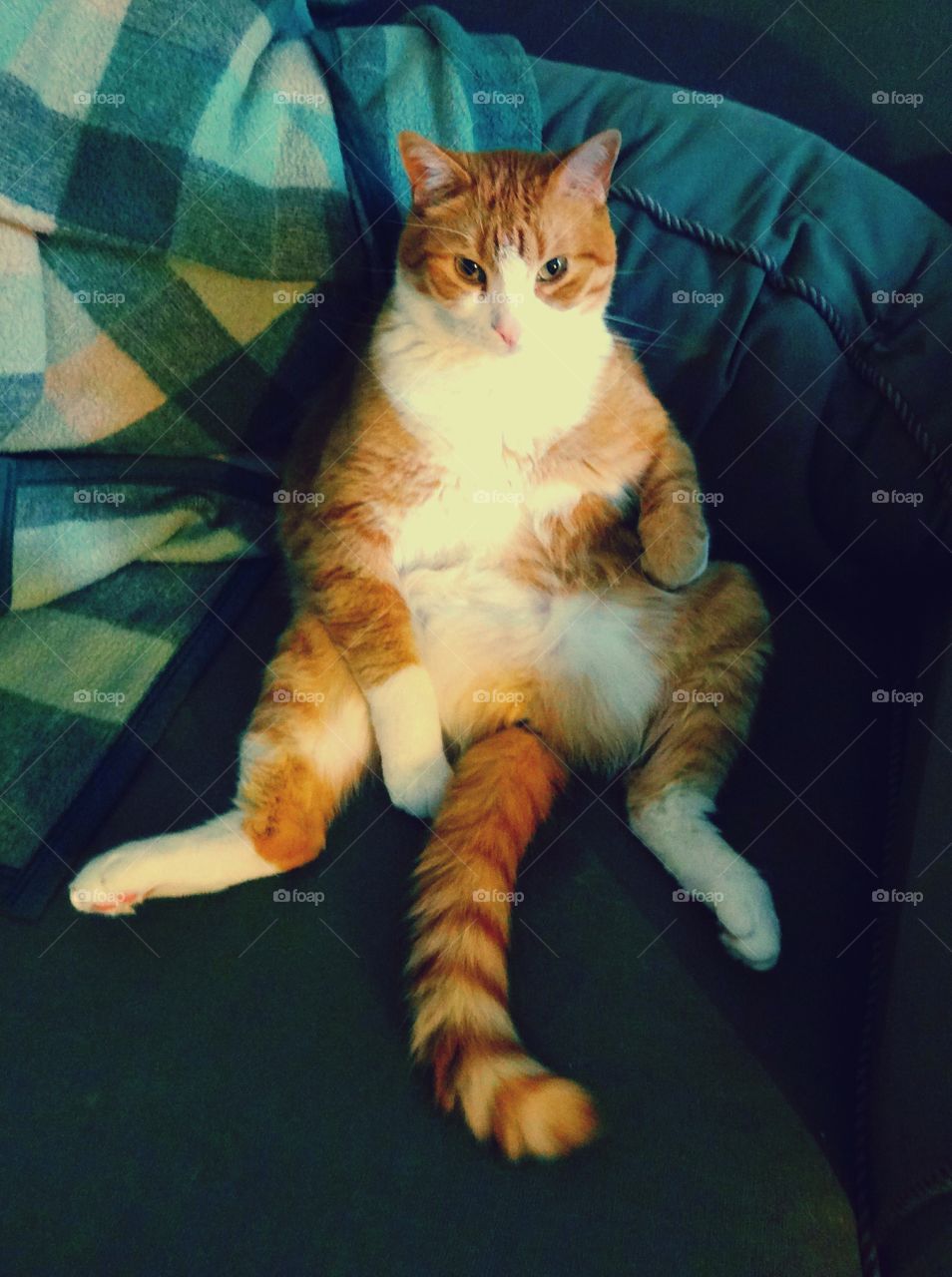 All I need is a Beer now