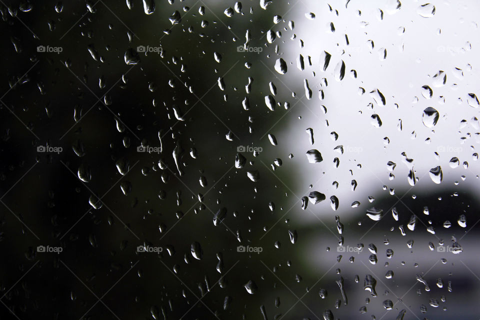 Rainy closeup