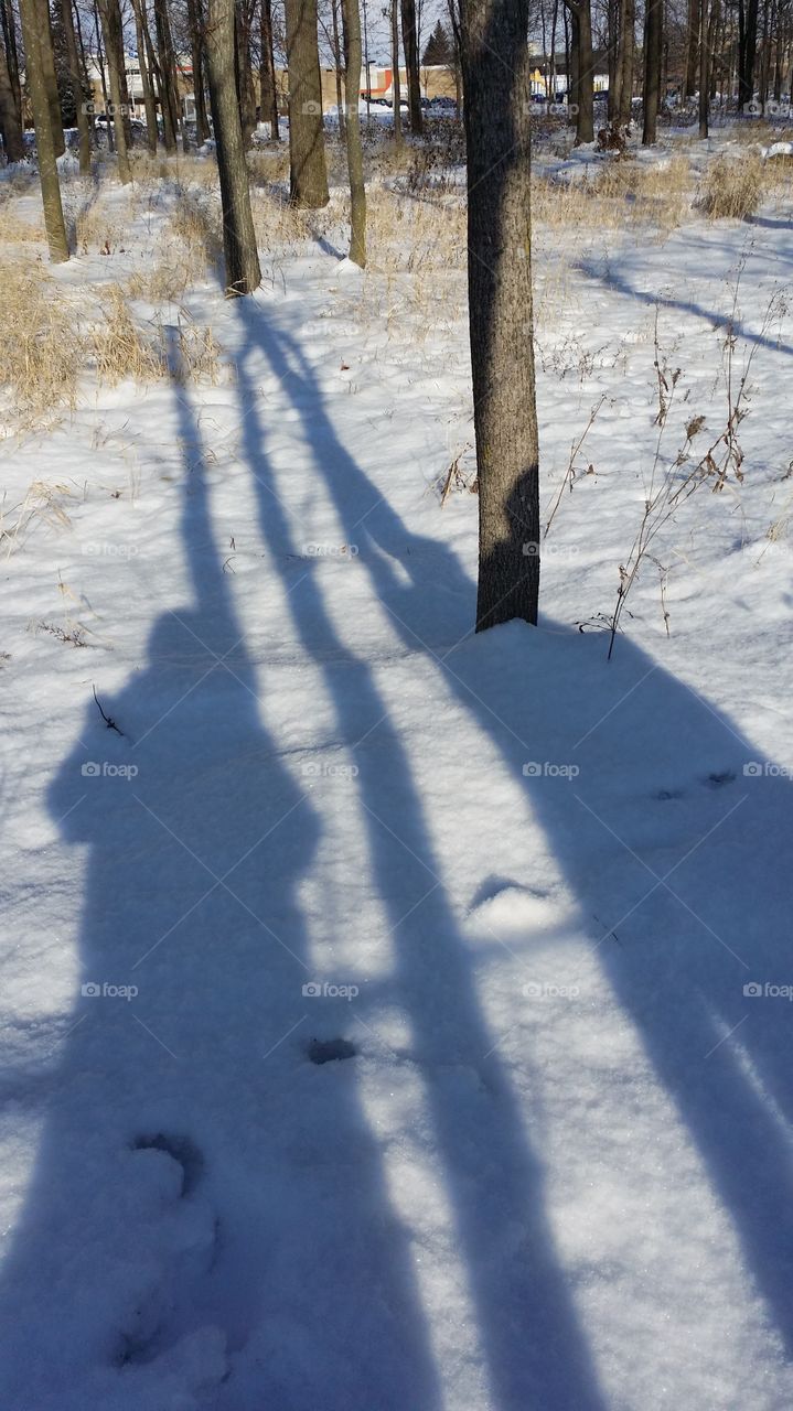 Snow shadows