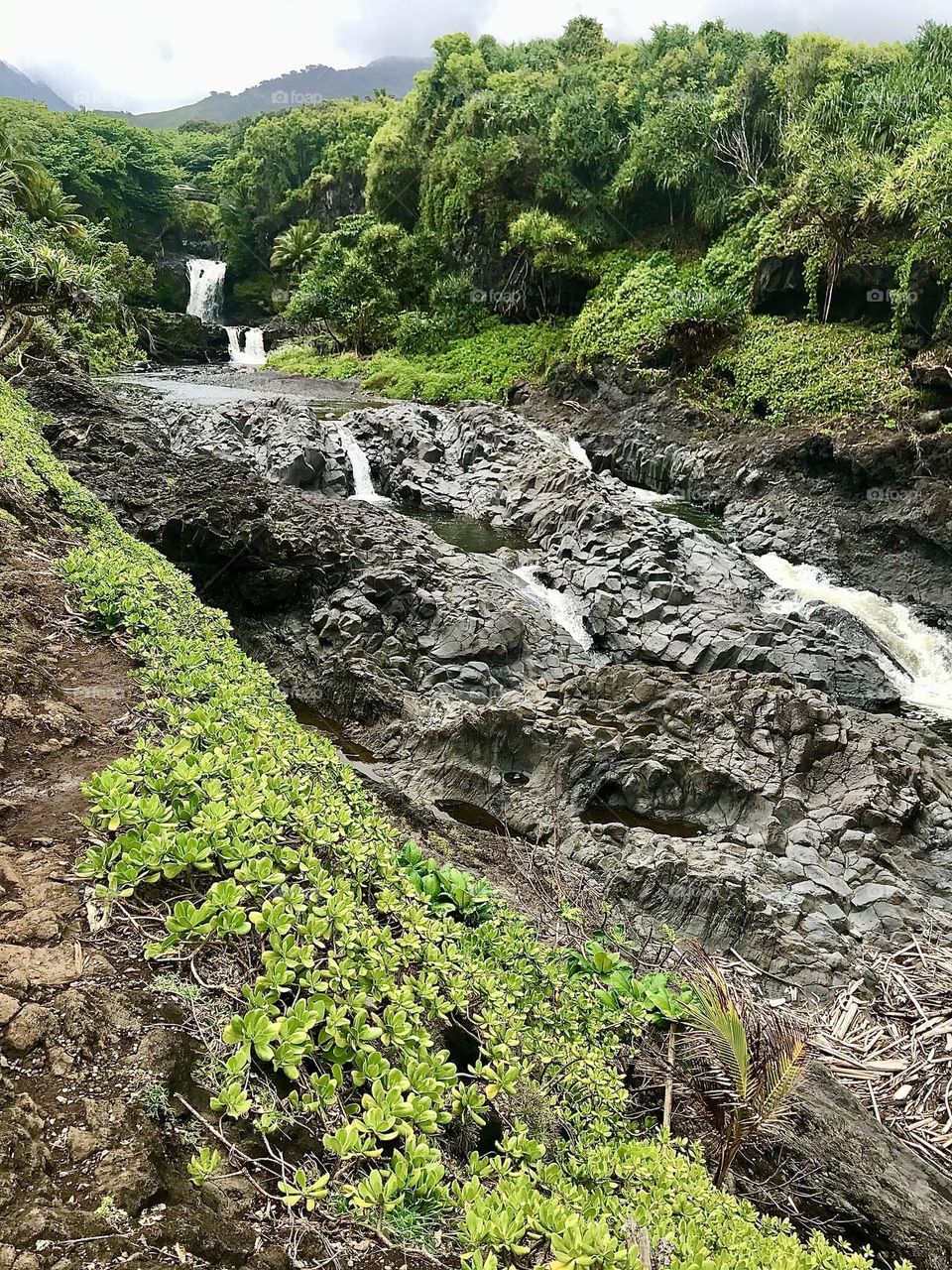 Pools of Oheo Mountain Side