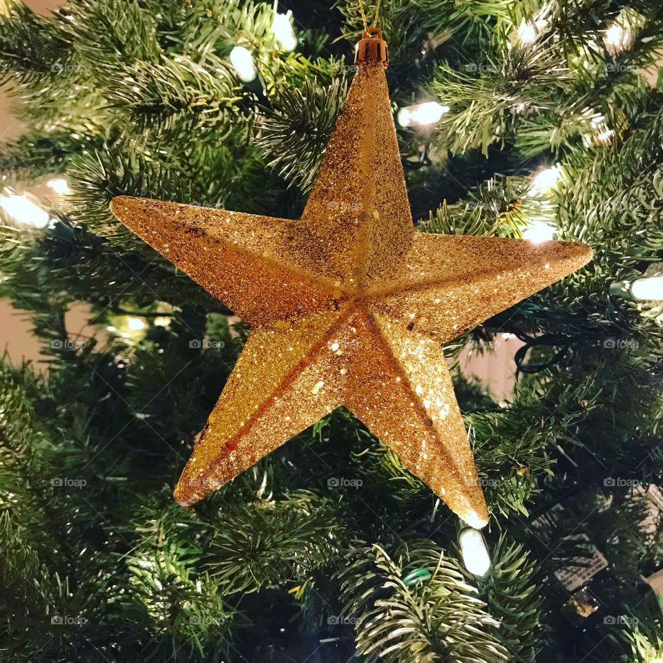 Star in the Christmas tree.