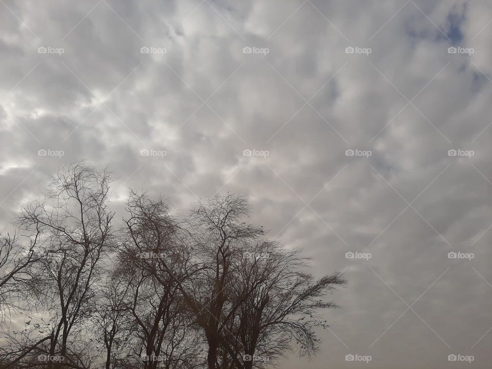 Please make me happy, I am poor, I need your help with support